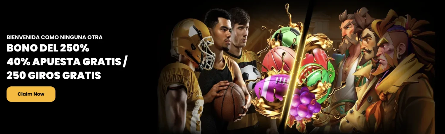 Promotional Banner